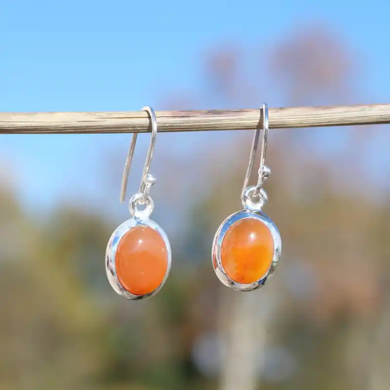 Retour Gratuit Petites boucles d'oreilles ovales Cornaline et argent