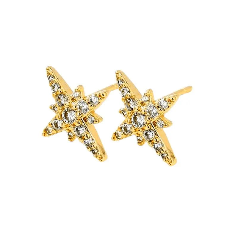Premium Boucles d'oreilles clous étoile zirconium sertis