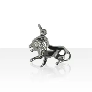 Pendentif zodiaque Argent VOL LION | BIJOUX ESOTERIQUES | MADILAR Must-Have