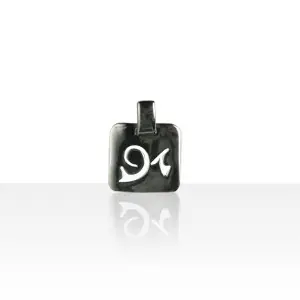 Pendentif zodiaque Argent PM CAPRICORNE | BIJOUX ESOTERIQUES | MADILAR Prix Choc