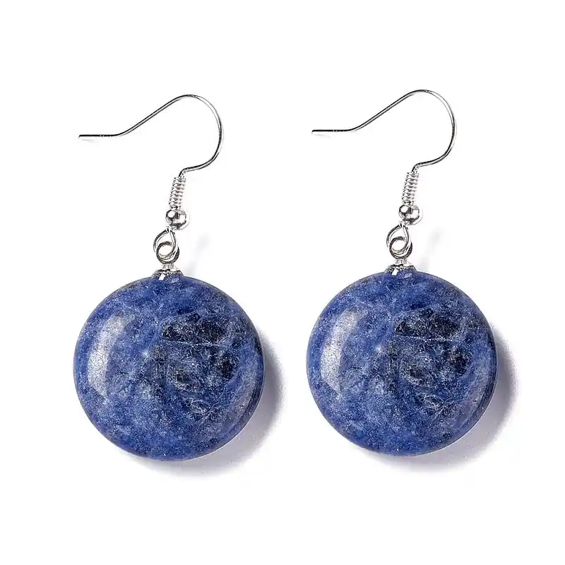 Acheter Direct Boucles d'oreilles pendantes acier inoxydable pierres naturelles rondes sodalite