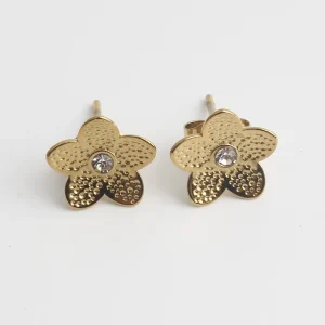 Offre Limitée Sage - Clous - Boucles d'oreilles - Acier inoxydable