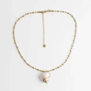 Coquillage de mer - Collier - Acier inoxydable Meilleur Prix