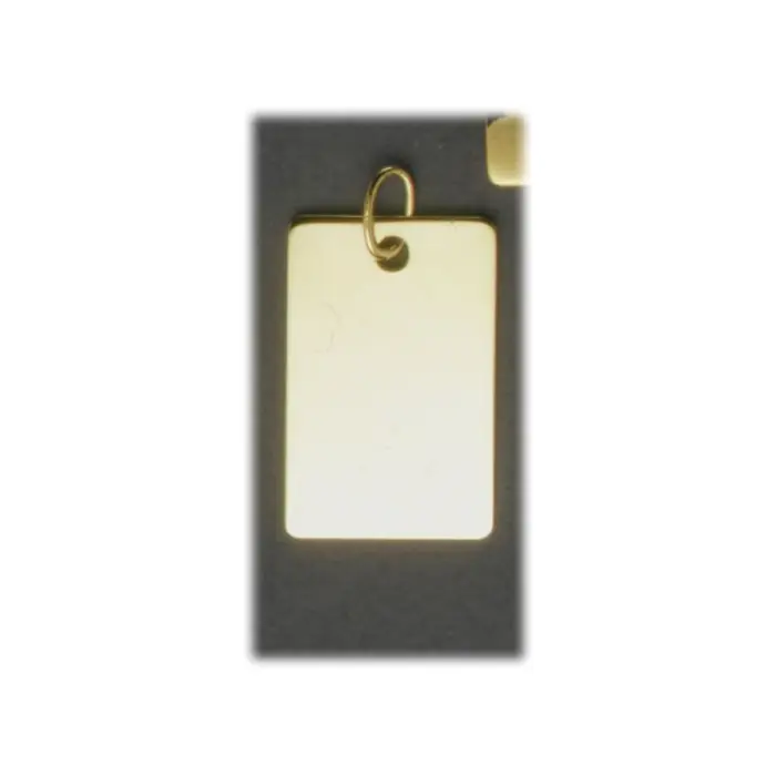 Vente Directe Pendentif Or 750/1000e 20x30mm 4.00grs avec deux photogravures comprises