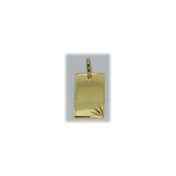 Acheter En Ligne Plaque plaqué or 14x24mm lapidée