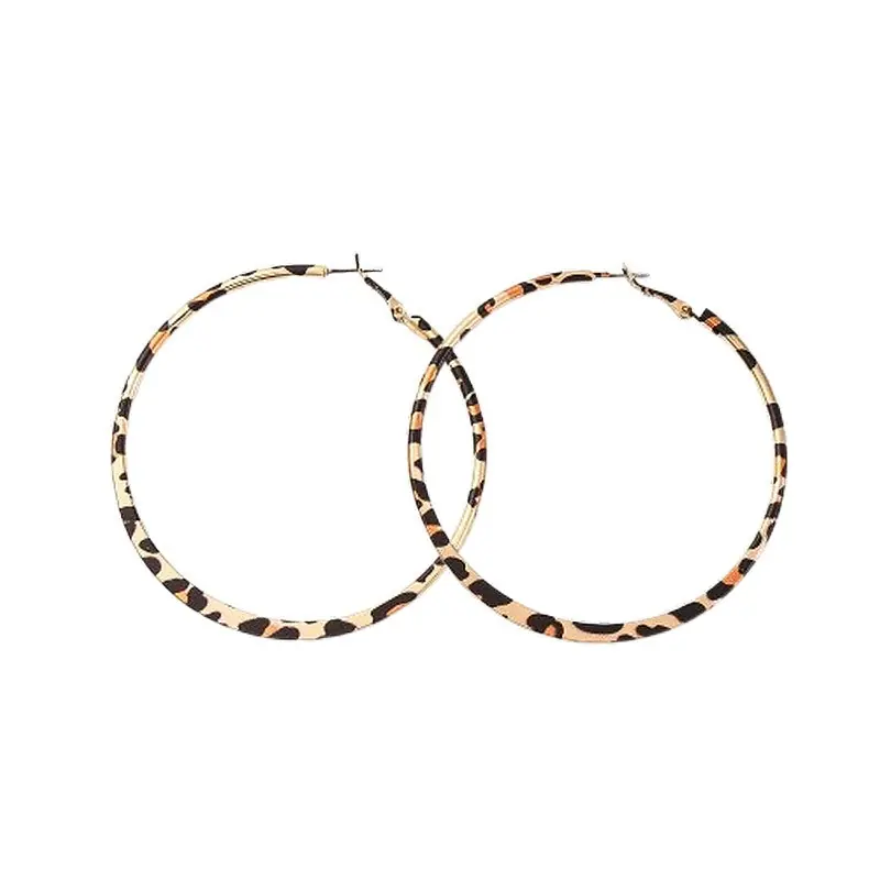 Livraison Gratuite Boucles d'oreilles fantaisie acier inoxydable Créoles colorées