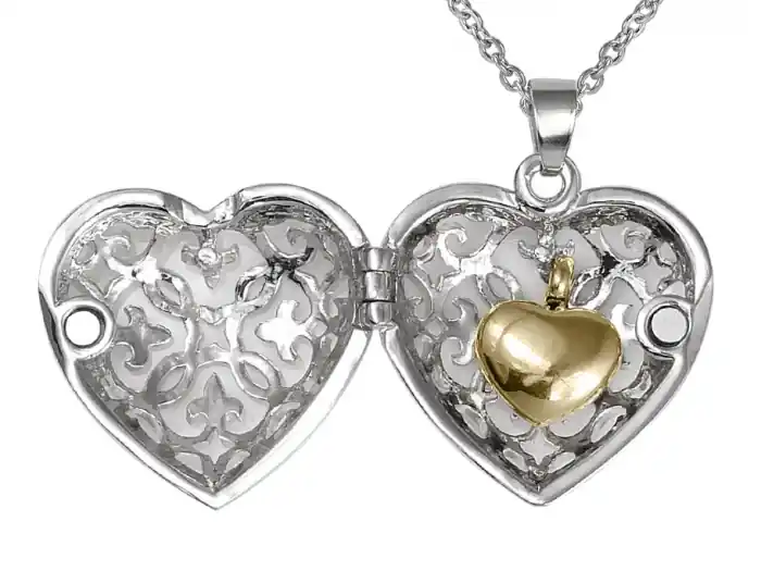 Promotion Pendentif reliquaire pour cendres cage en cœur urne intérieure en acier inoxydable 2 tons avec chaîne