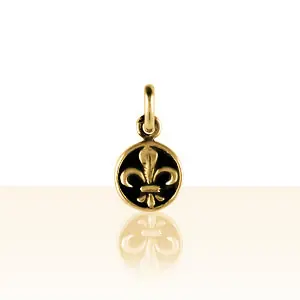 Prix Bas Médaille Plaqué Or FLEUR DE LYS PM | BIJOUX BRETONS & CELTES | MADILAR