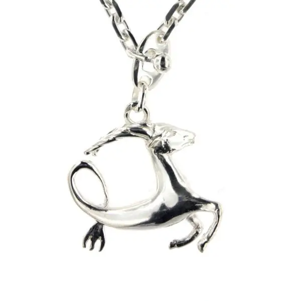 Porte-clés Argent massif CAPRICORNE | BIJOUX SIGNES DU ZODIAQUE | ESOTERIQUE | MADILAR Authentique
