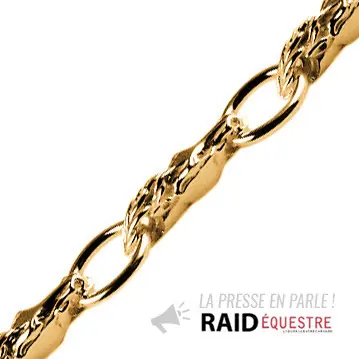 Offre Exclusive Bracelet Plaqué Or TETES ANNEAUX GM SUITE | BIJOUX EQUESTRES | EQUITATION | CHEVAL | MADILAR